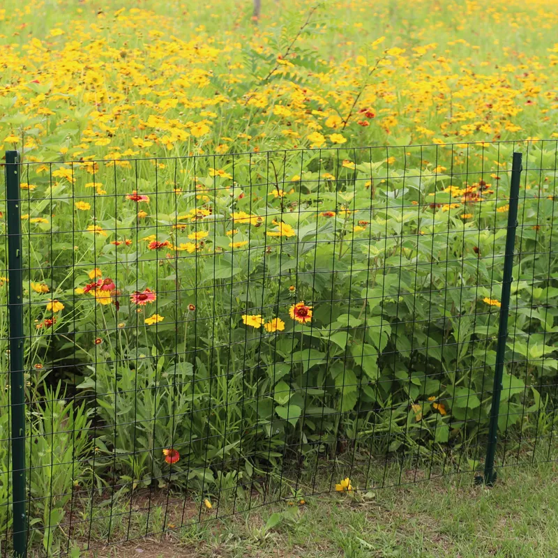 wire fence design