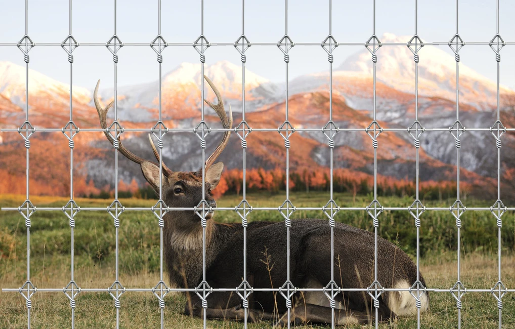 lattice border fence