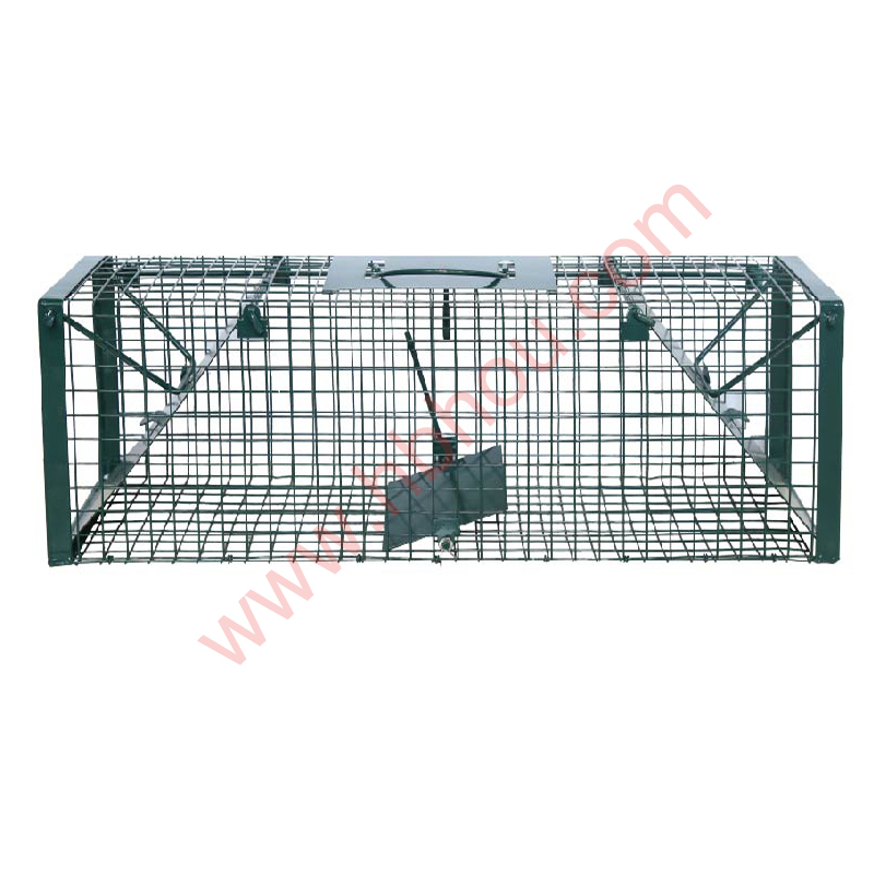 Single or Double Door Live Wild Animal Trap Cage